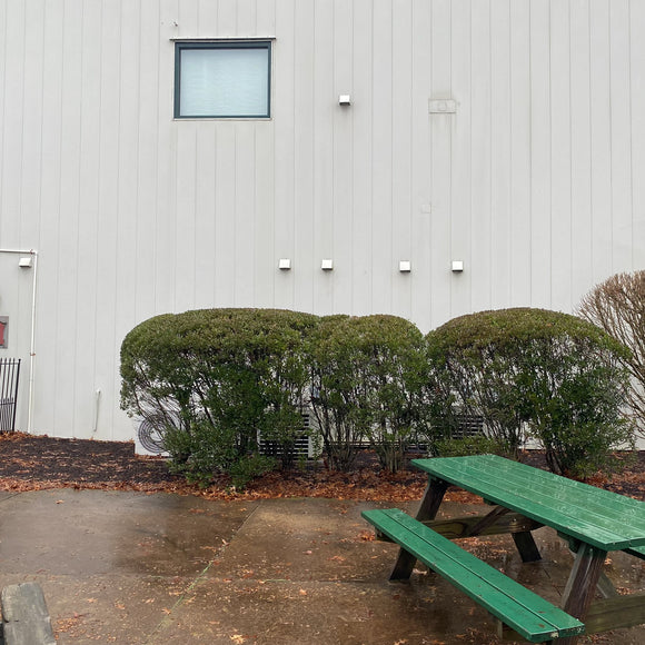 4 Inch Wall Vent Cover - Hood Only (No Collar)